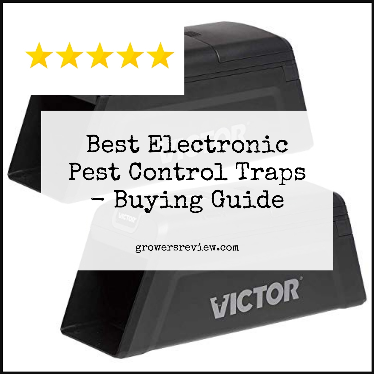 Best Electronic Pest Control Traps Buying Guide & Review