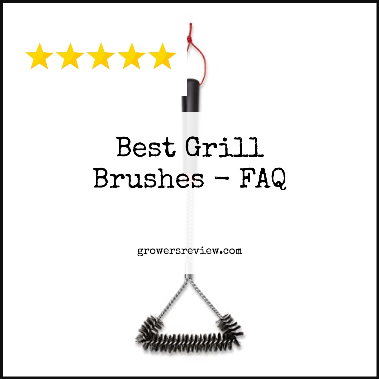 Best Grill Brushes - FAQ