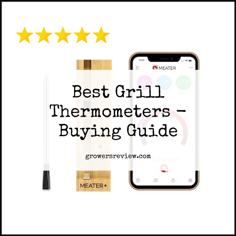 Best Grill Thermometers Buying Guide & Review