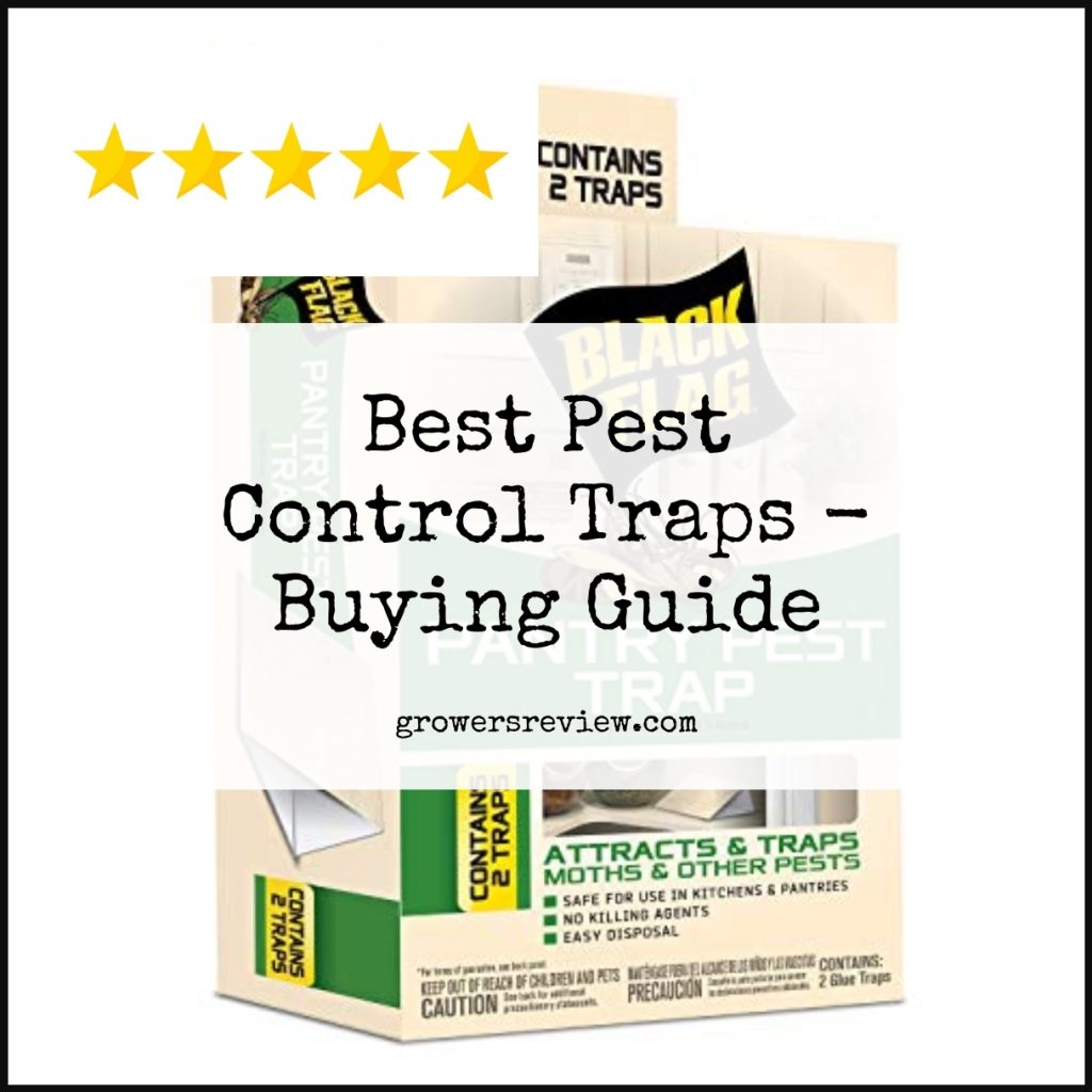 Best Pest Control Traps Buying Guide & Review