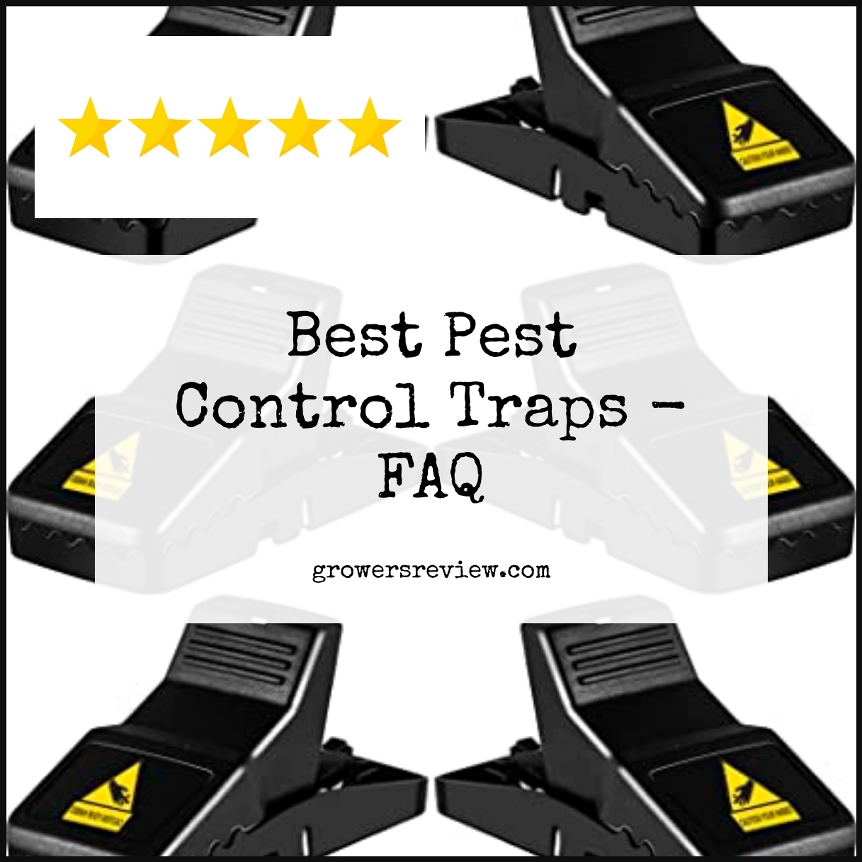 Best Pest Control Traps - FAQ