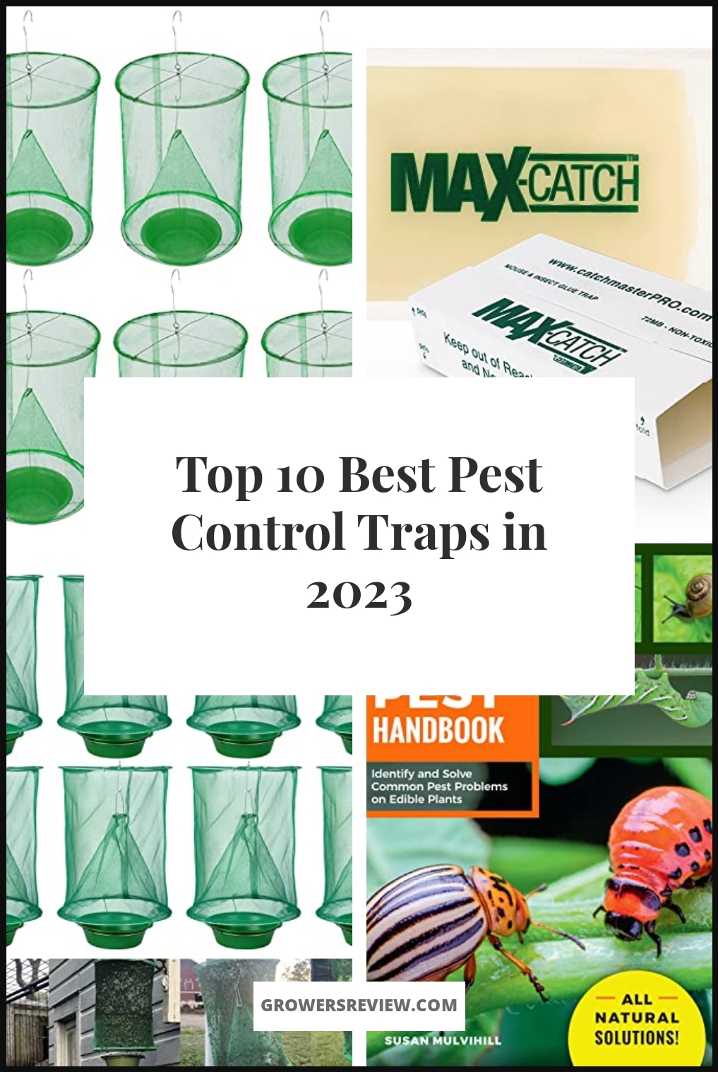 Best Pest Control Traps - Buying Guide