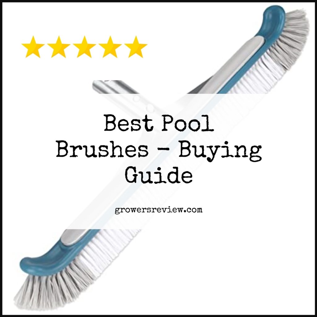Best Pool Brushes Buying Guide & Review