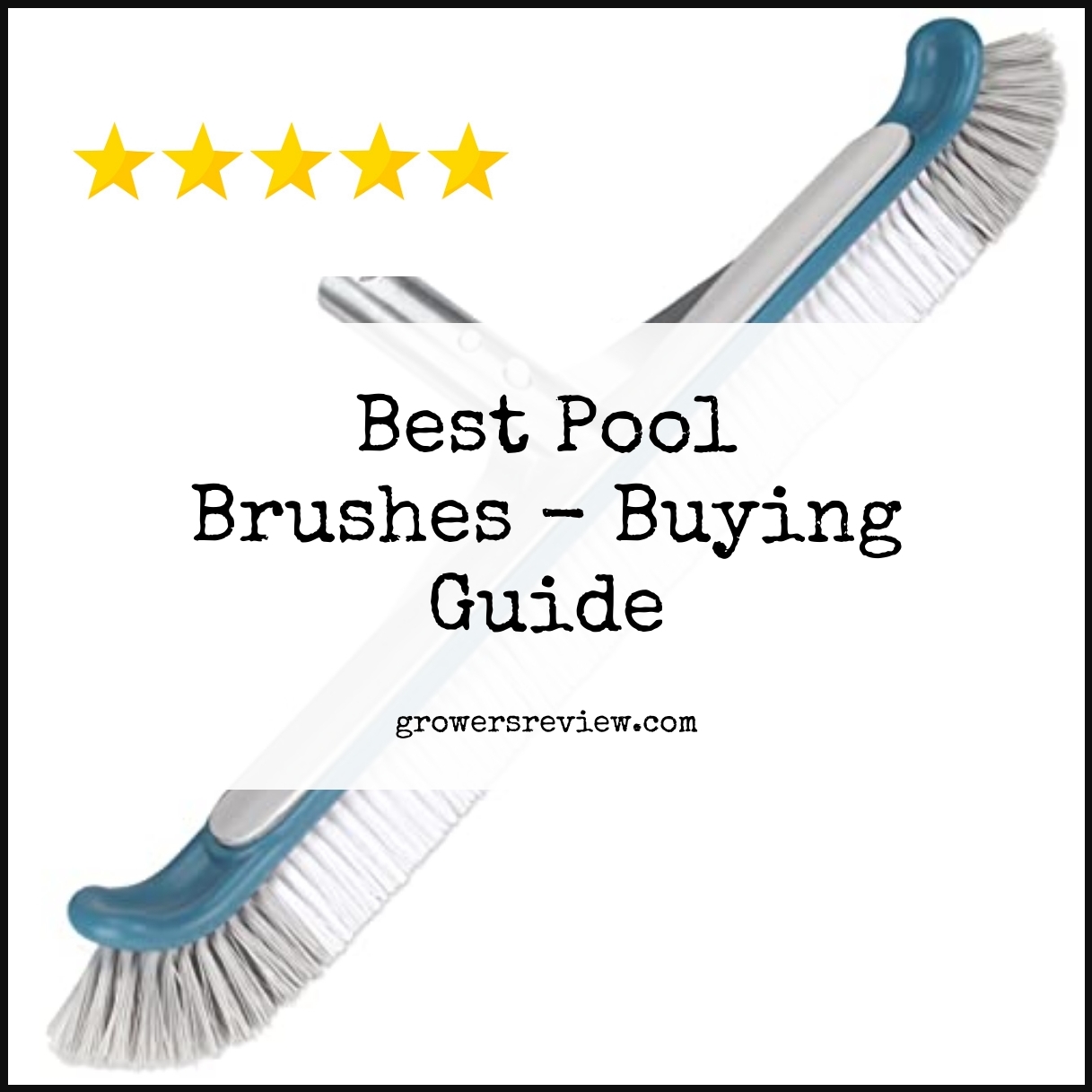 Best Pool Brushes - Buying Guide
