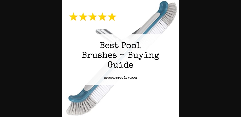 Best Pool Brushes - FAQ