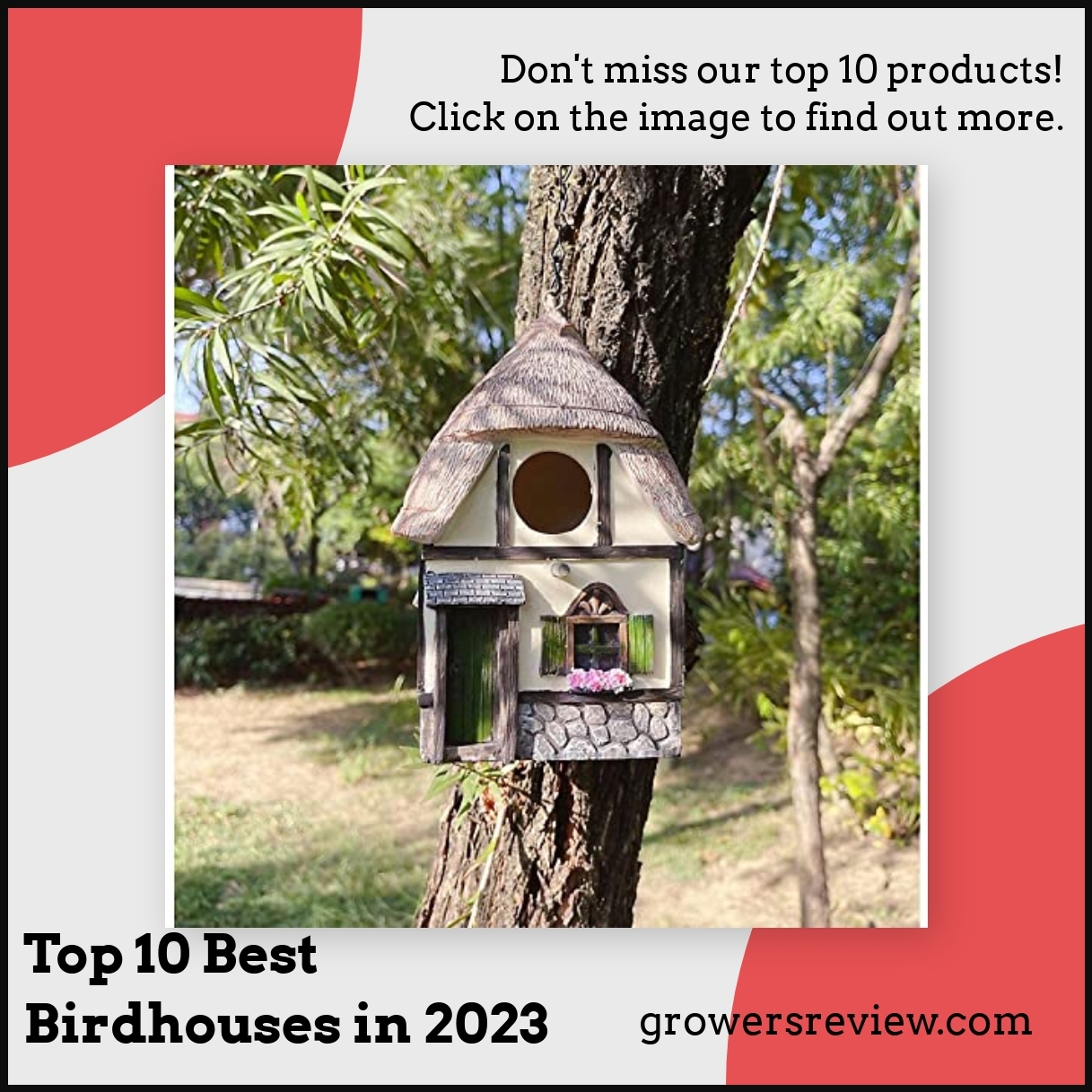 Top 10 Best Birdhouses in 2023