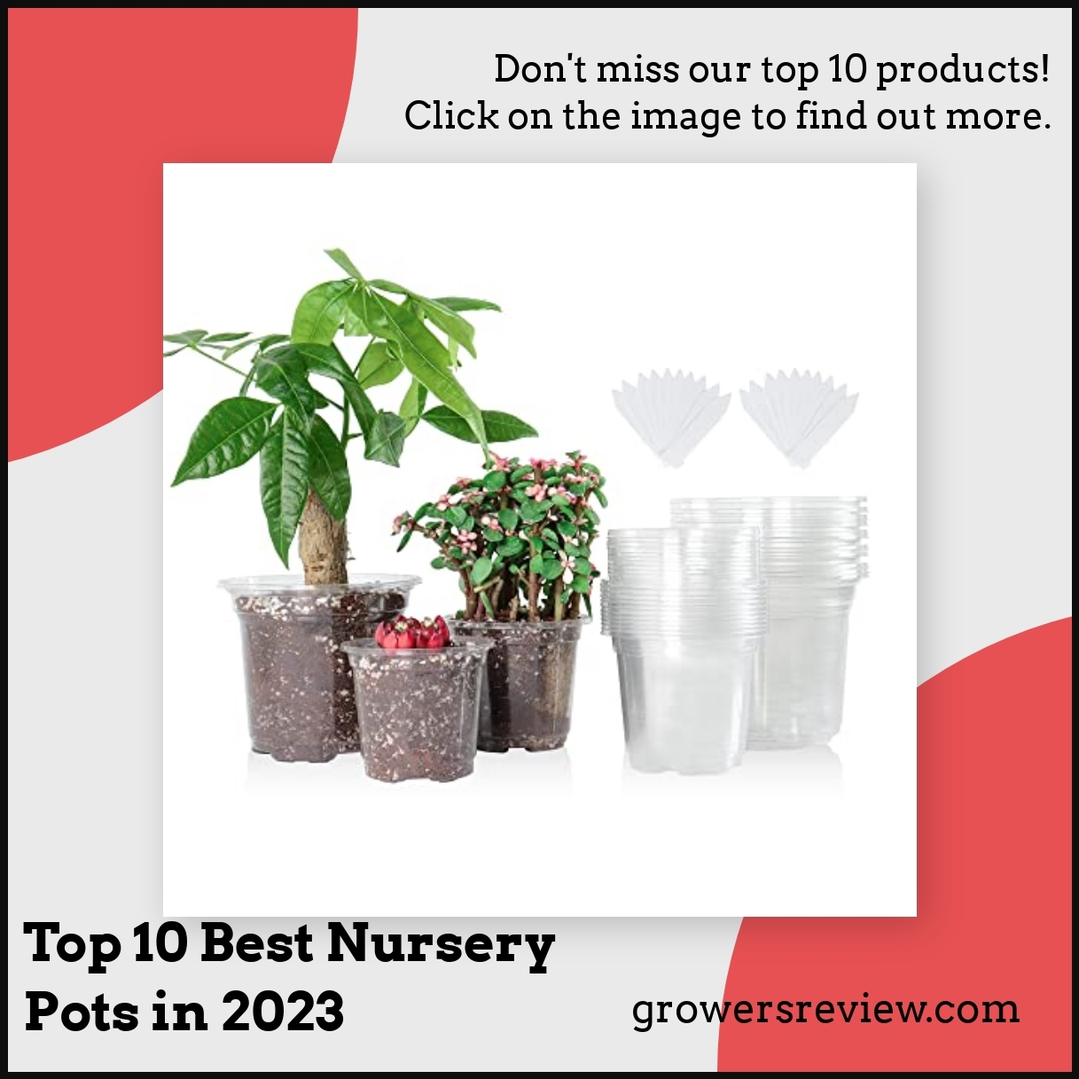 Top 10 Best Nursery Pots in 2024