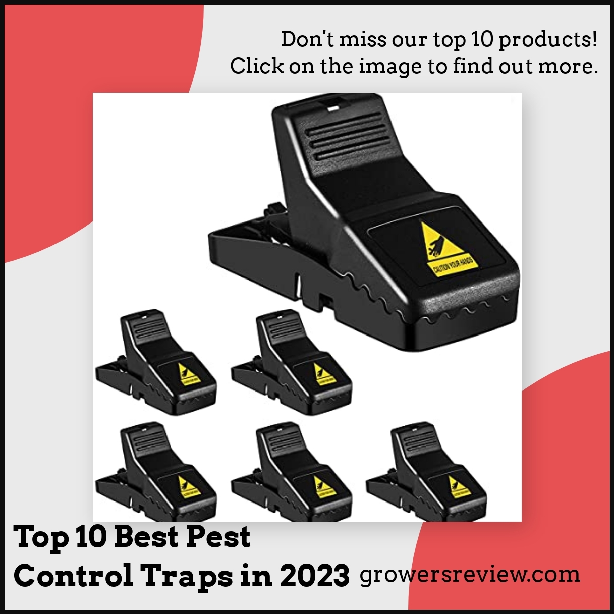 Top 10 Best Pest Control Traps in 2024