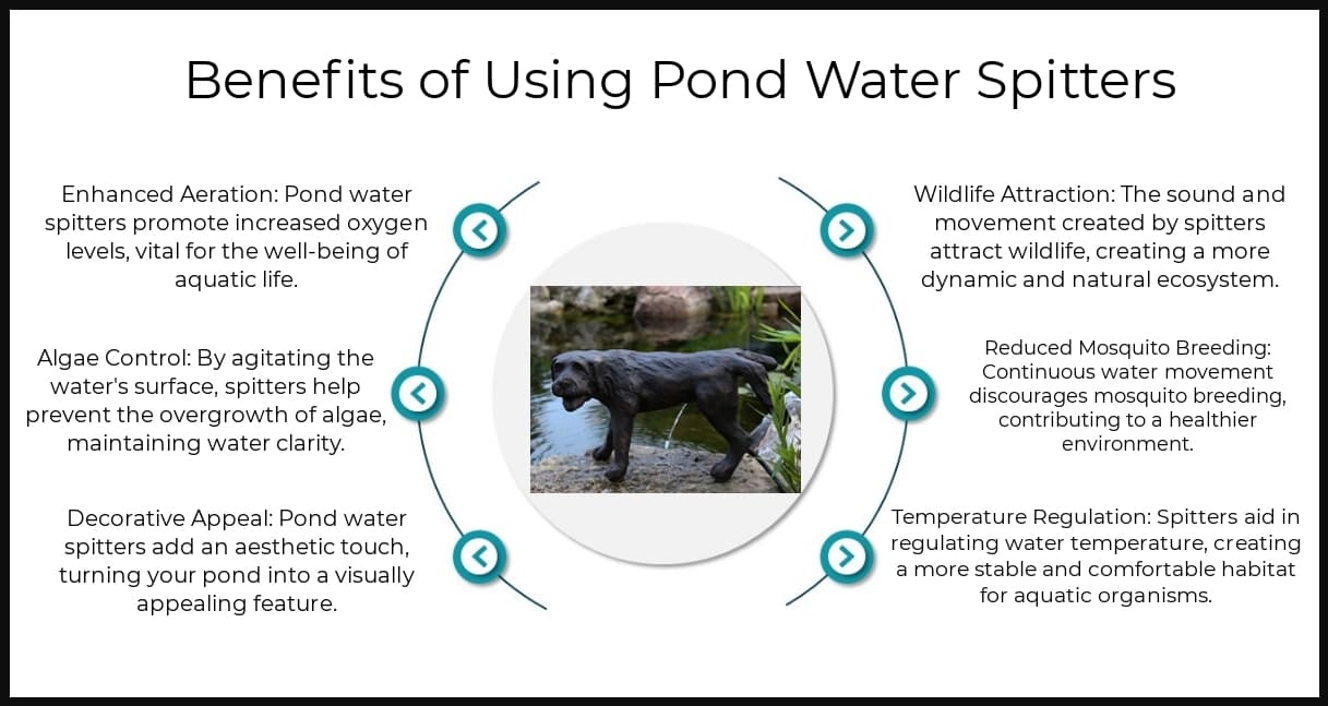 Benefits - Pond Water Spitters