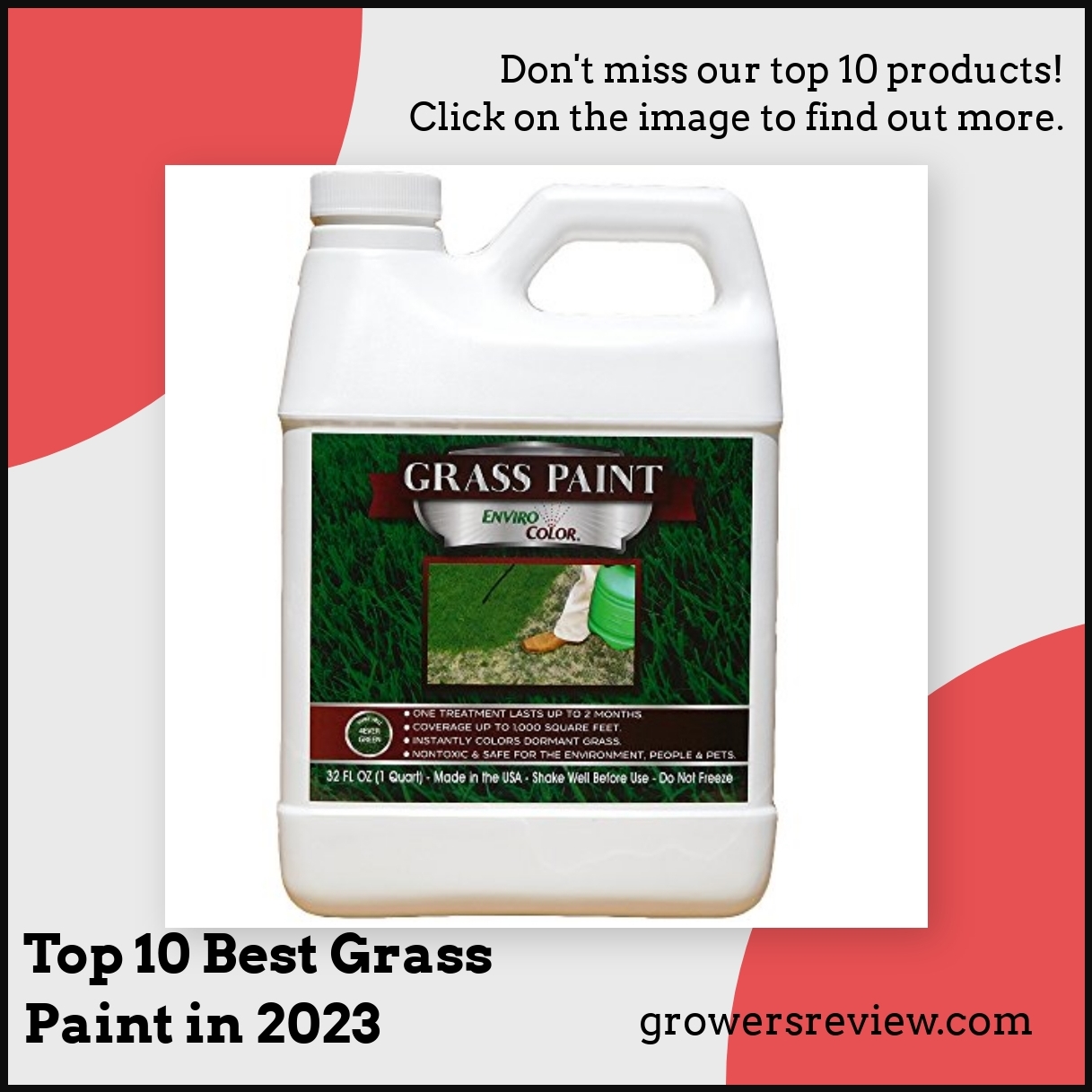 Top 10 Best Grass Paint in 2023