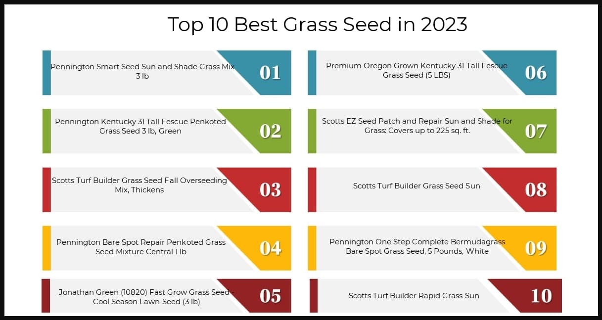 10-best-grass-seed-2