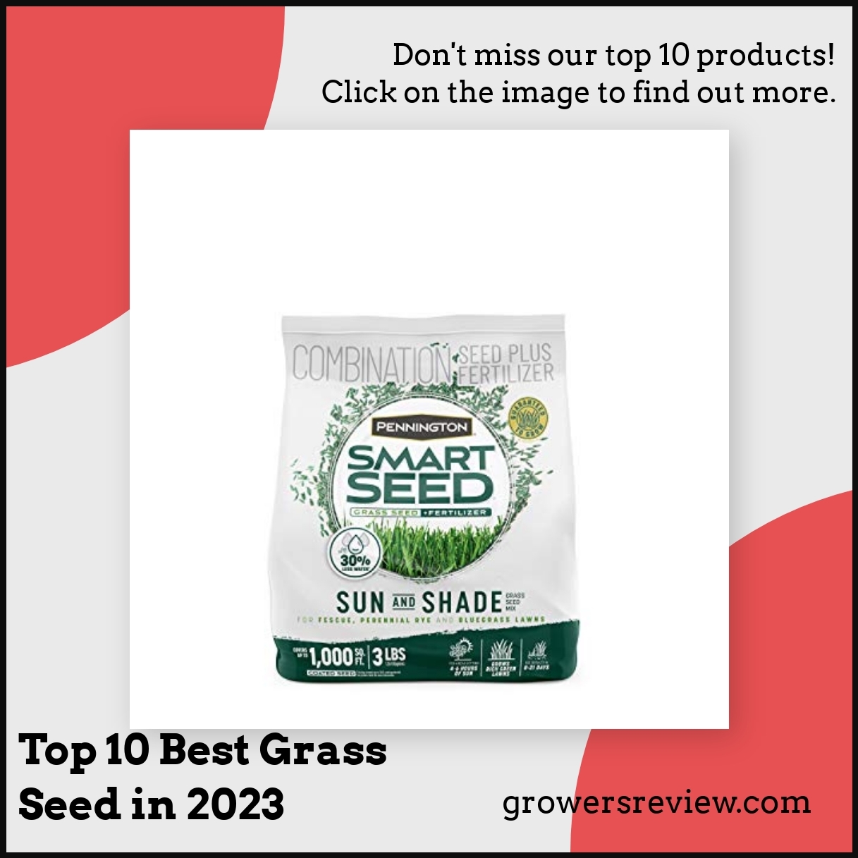Top 10 Best Grass Seed in 2024