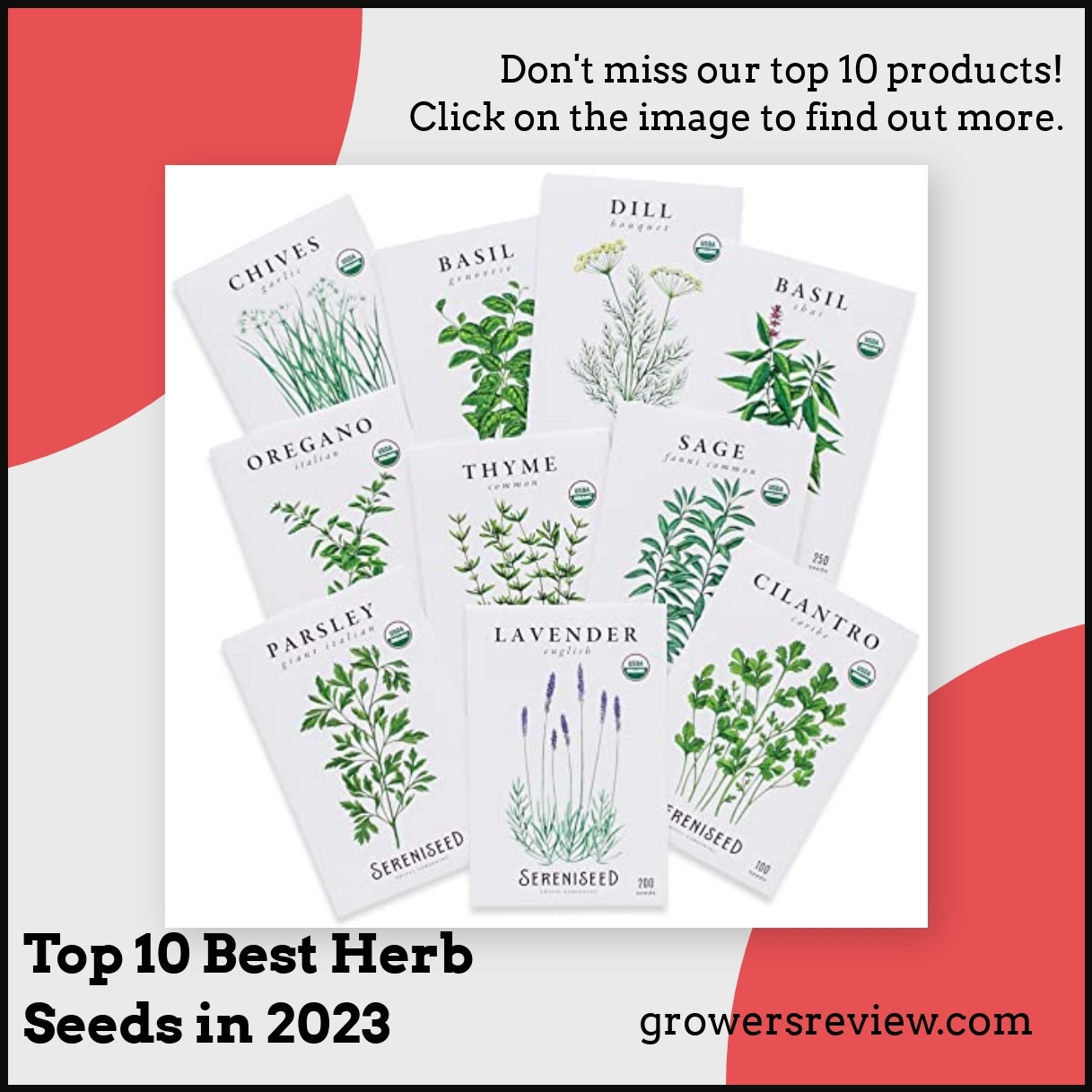 Top 10 Best Herb Seeds in 2023