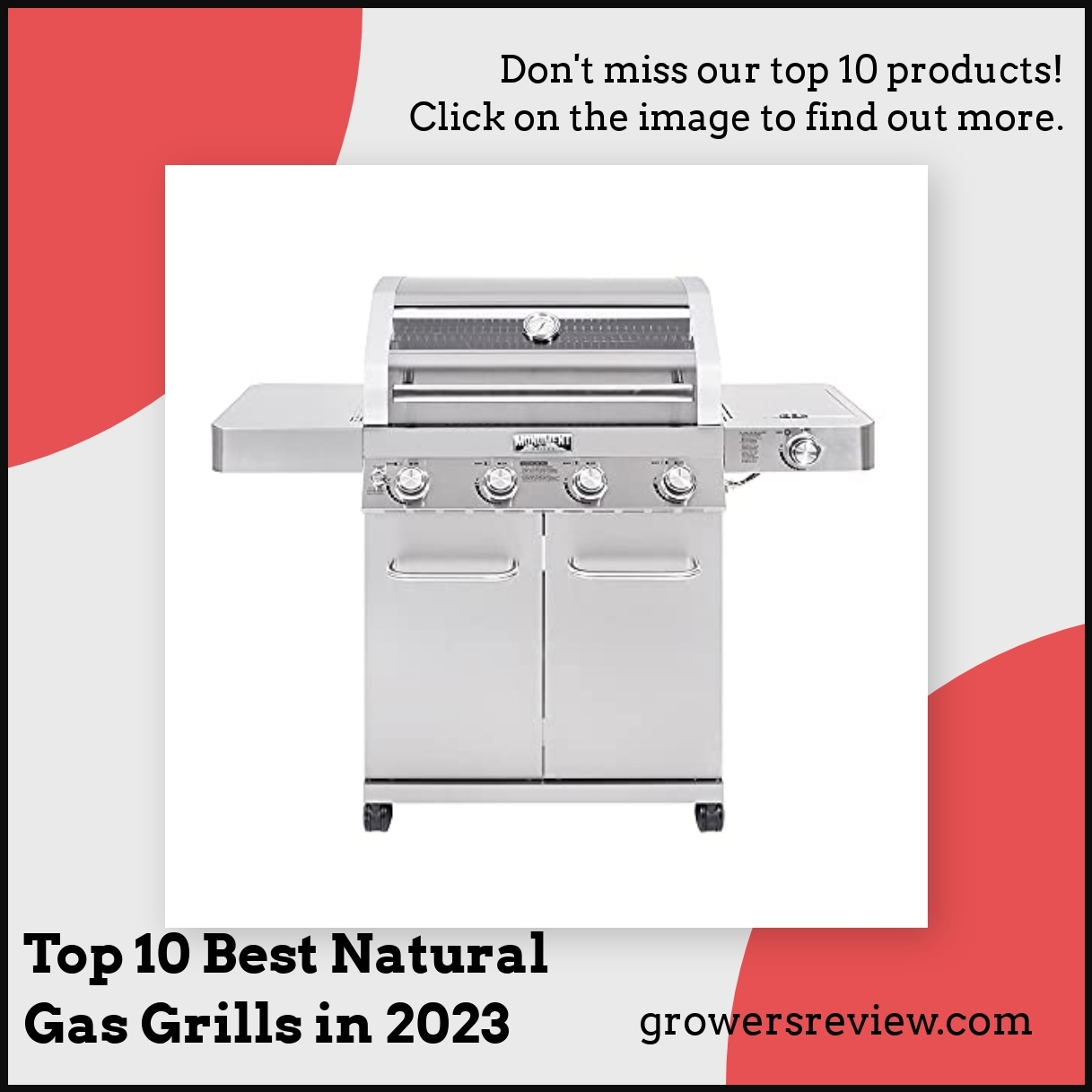 Top 10 Best Natural Gas Grills in 2023