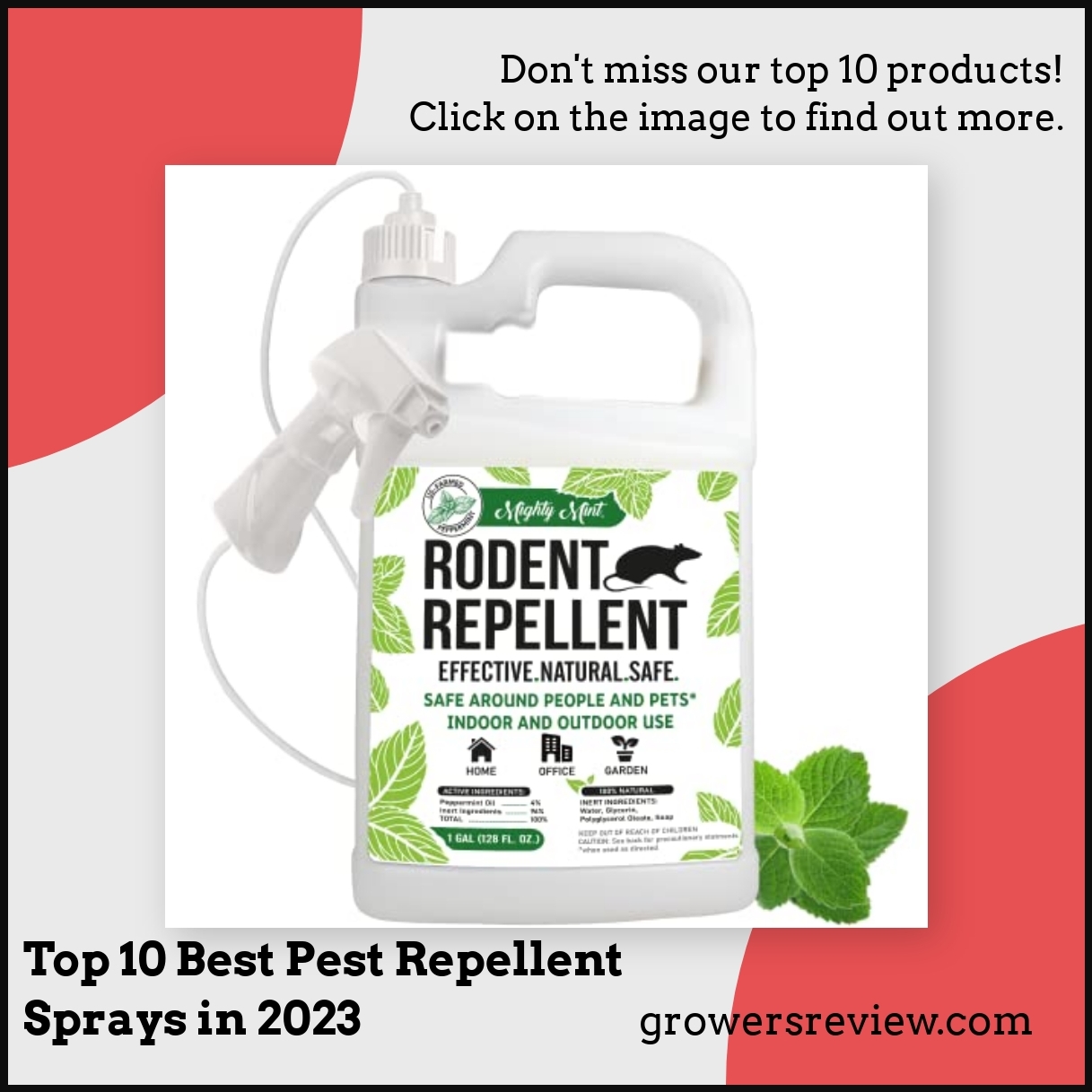 Top 10 Best Pest Repellent Sprays in 2024