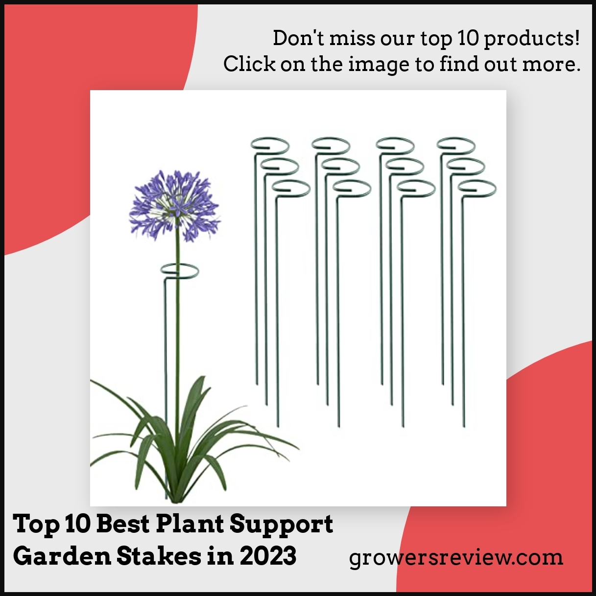 Top 10 Best Plant Support Garden Stakes in 2023