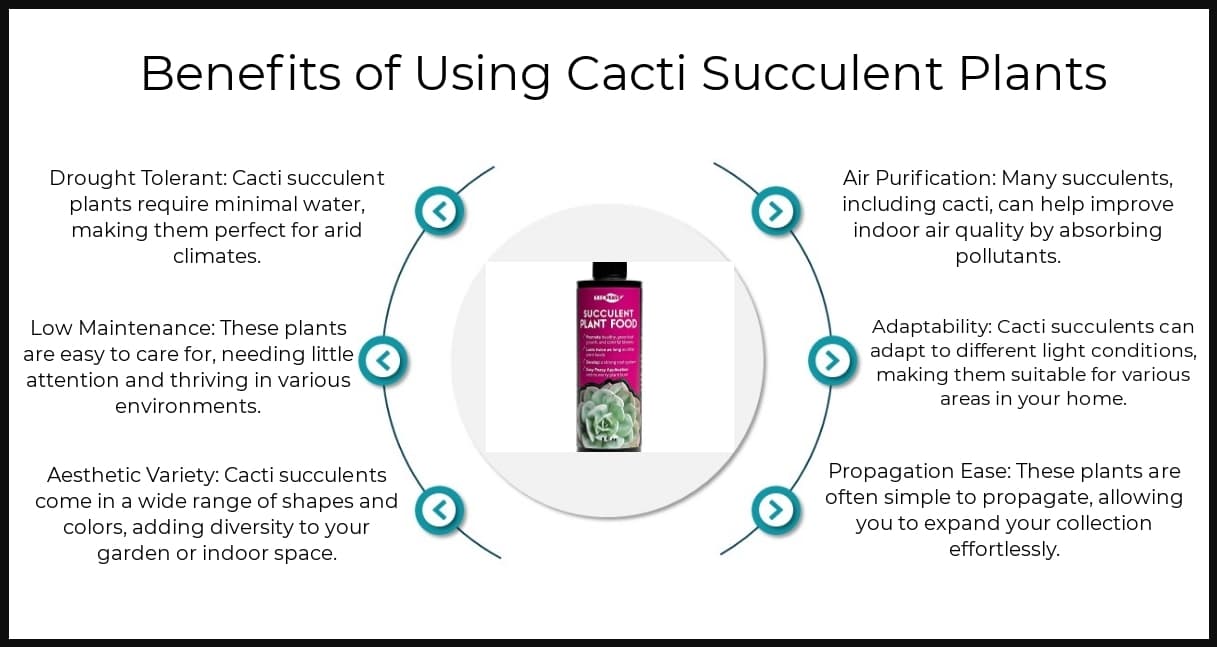 Benefits - Cacti Succulent Plants