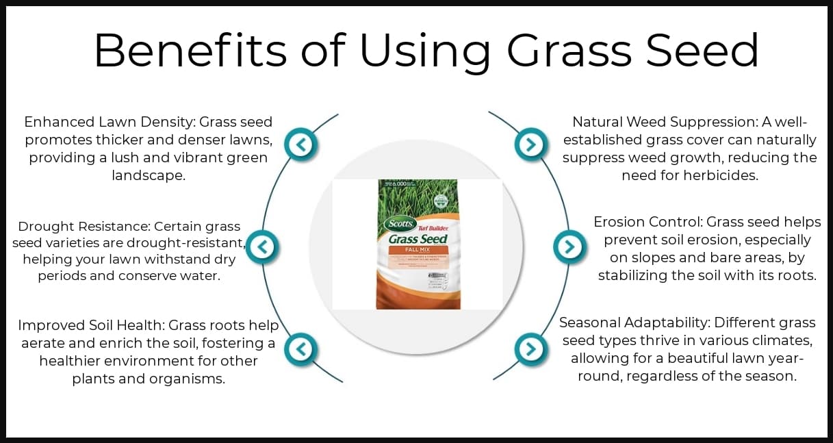Benefits - Grass Seed