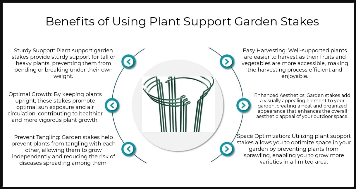 Benefits - Plant Support Garden Stakes