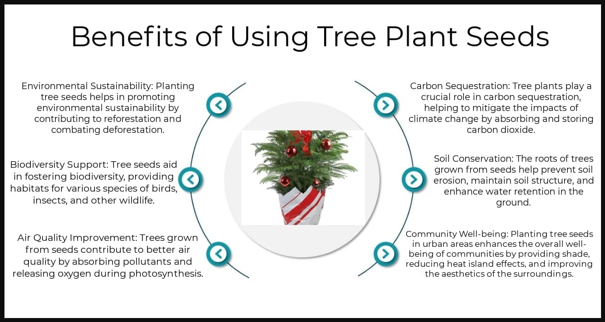 Benefits - Tree Plants Seeds