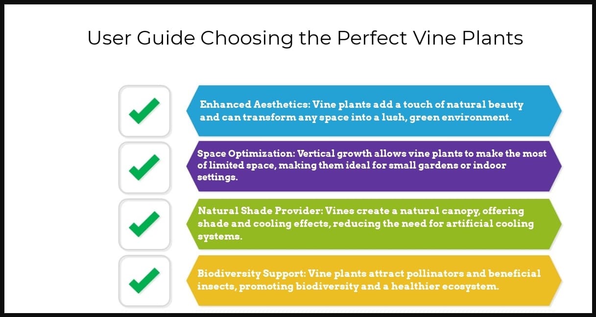 10-best-vine-plants-1